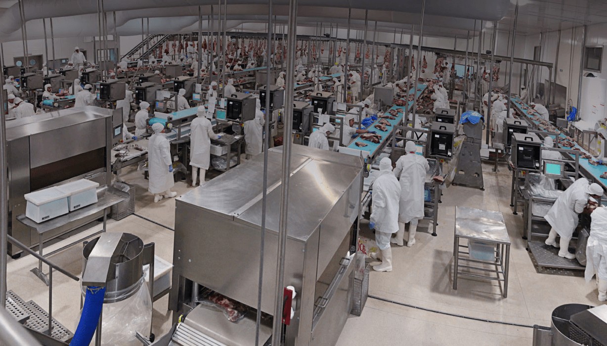 Menos faena y más incertidumbre: la crisis golpea a los frigoríficos