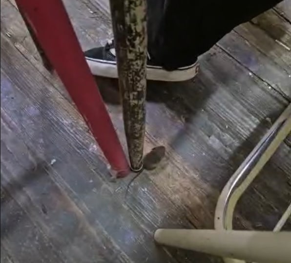 escuela normal ratas.jpg