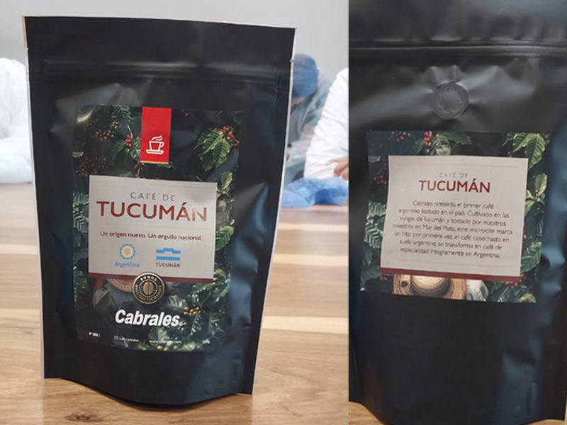 Argentina comienza a escribir su historia cafetera desde los campos tucumanos