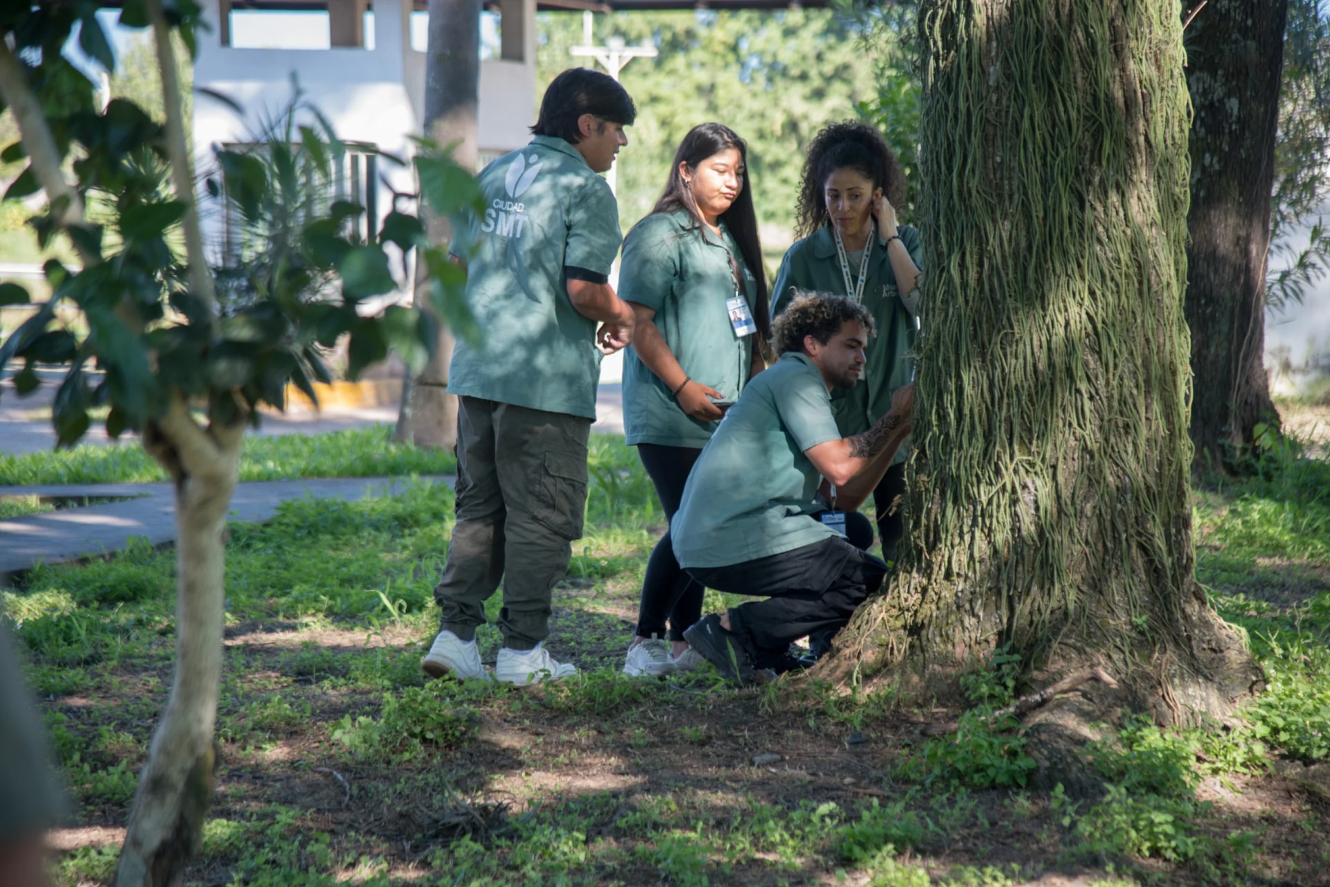La Municipalidad finalizó el primer censo del arbolado urbano y registró más de 142.000 árboles en la capital