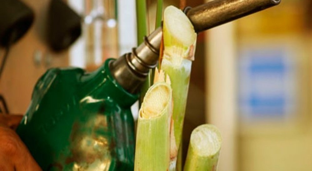 El bioetanol de caña de azúcar tracciona al sector energético con un crecimiento del 16,4% al cierre de 2025