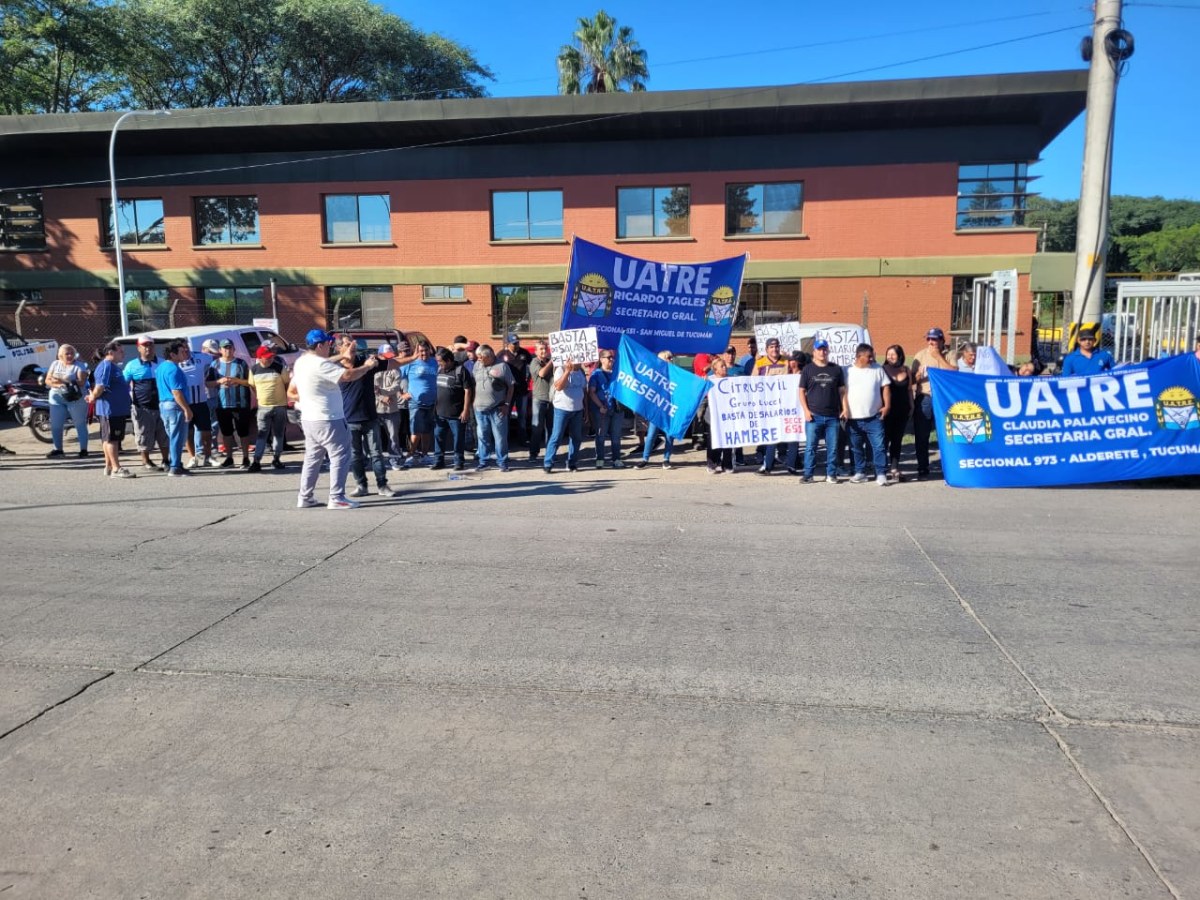 WhatsApp Image 2026-03-31 at 13.32.21.jpeg WhatsApp Image 2026-03-31 at 13.32.21.jpeg