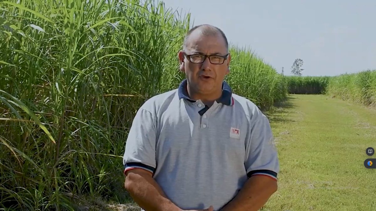 Captura de pantalla (56).jpg