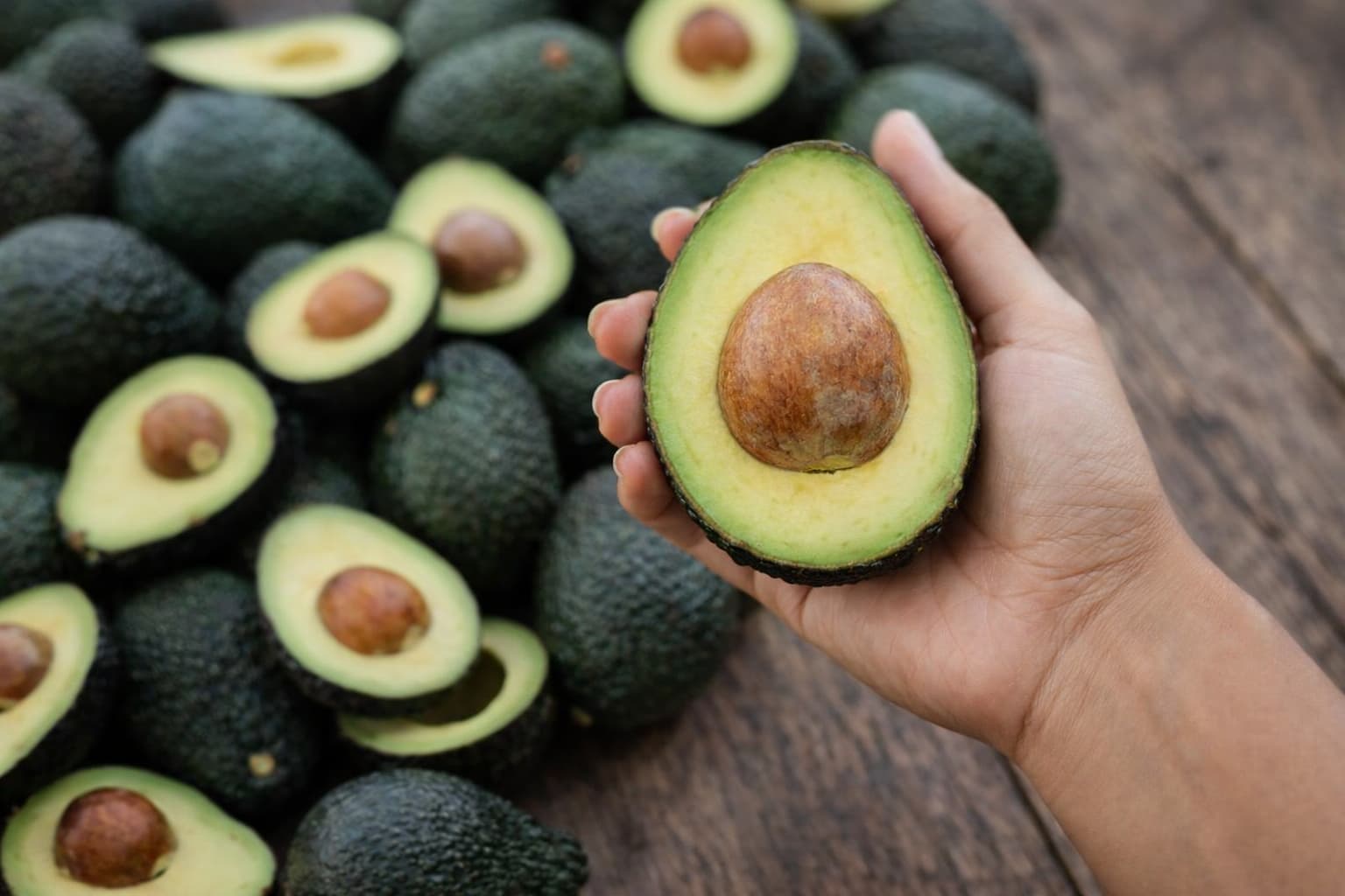 El cultivo de palta gana terreno y el INTA Famaillá prepara una capacitación clave