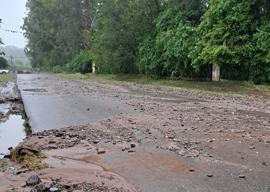 “Hay responsables con nombre y apellido”: Lisandro Catalán habló tras las tres muertes y pidió respeto