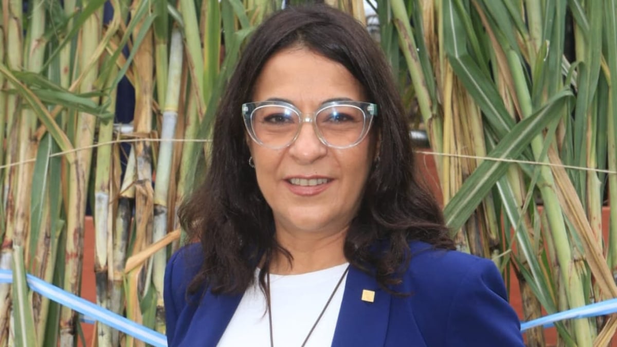 Hacemos periodismo (15).jpg Hacemos periodismo (15).jpg