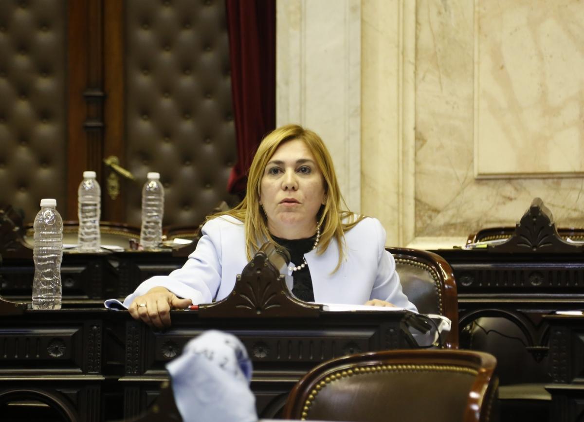 La tucumana Avila lidera el ranking de proyectos presentados en el Senado