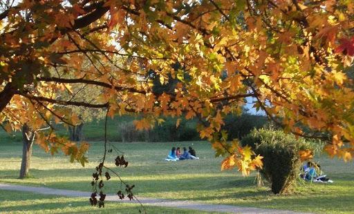 Tras el temporal, Tucumán tendrá una jornada más estable aunque con cielo mayormente nublado