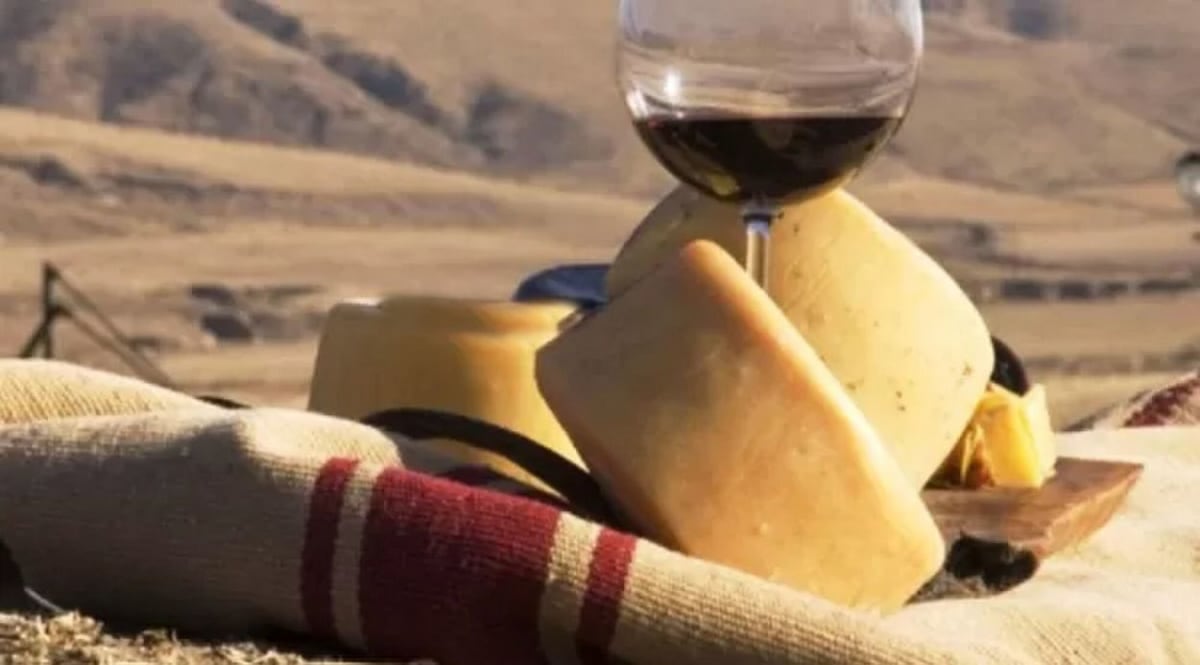 queso y vino tafo del valle.jpg