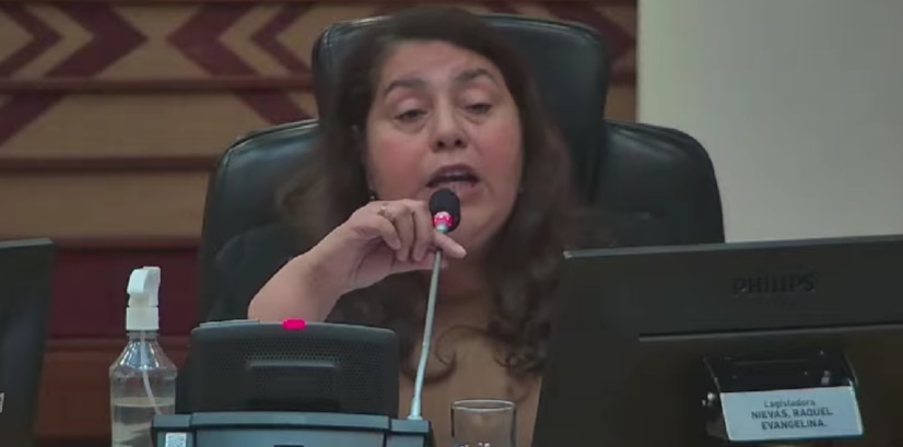 ¿Discriminación o idoneidad? la polémica que se coló en la Legislatura