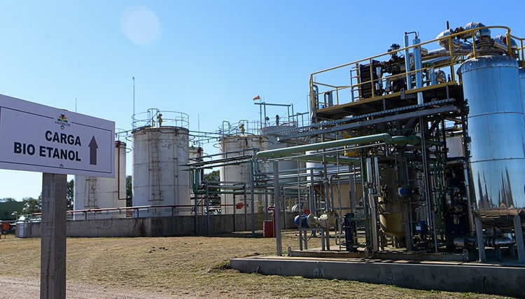 El futuro de los biocombustibles en debate: entre la desregulación de mercado y la protección de la industria sucroalcoholera del NOA