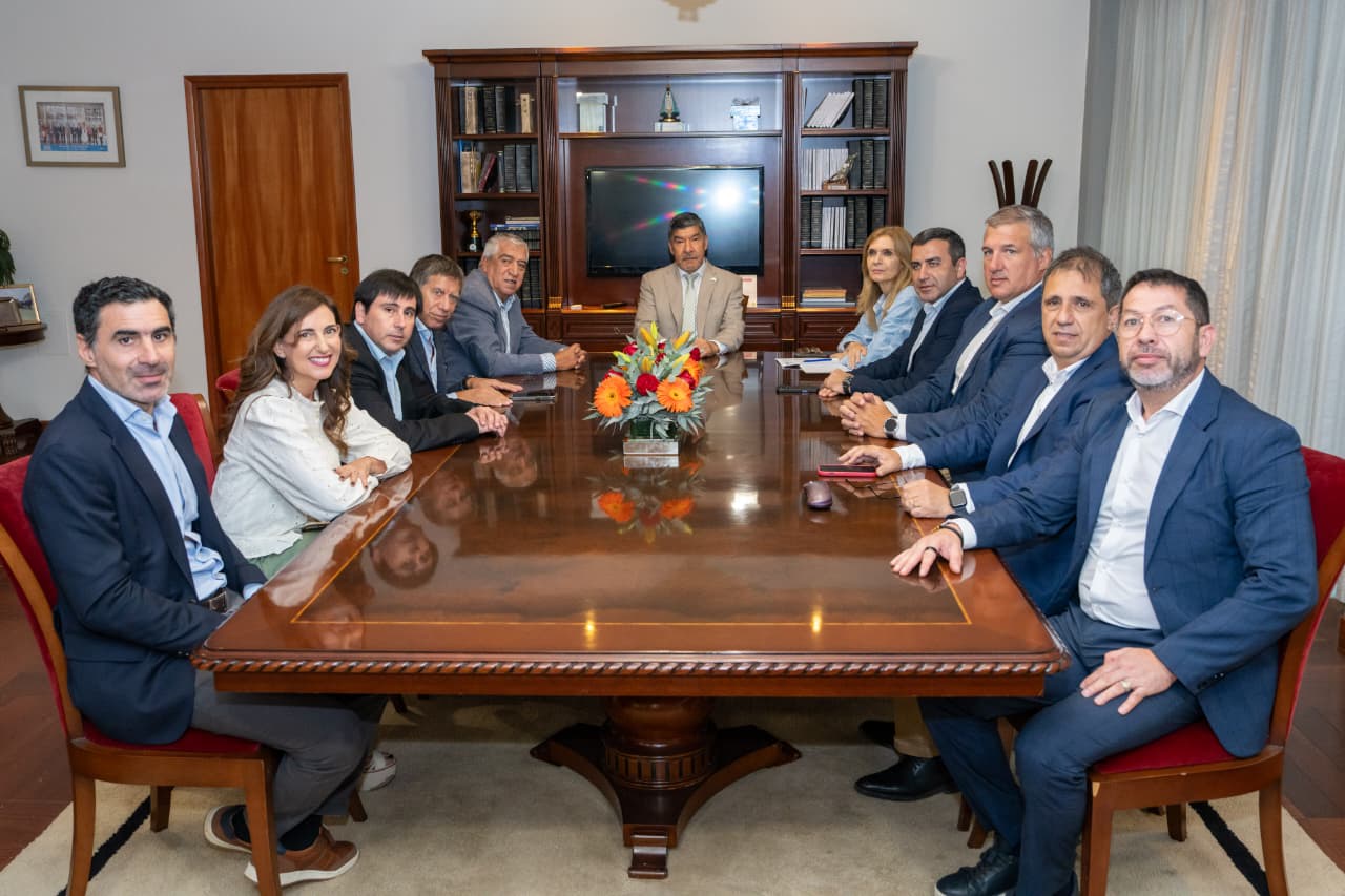 “Impulsé Ficha Limpia y la queremos poner en agenda lo antes posible para su tratamiento y votación”