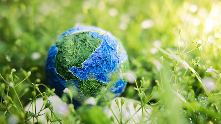 Día Internacional de la Tierra: el mundo reflexiona sobre el cuidado ambiental bajo el lema "Nuestro poder, nuestro planeta"