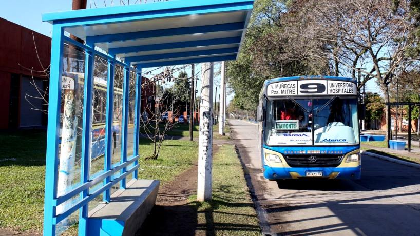 El transporte en la cornisa: un círculo vicioso con muchos culpables y ningún responsable