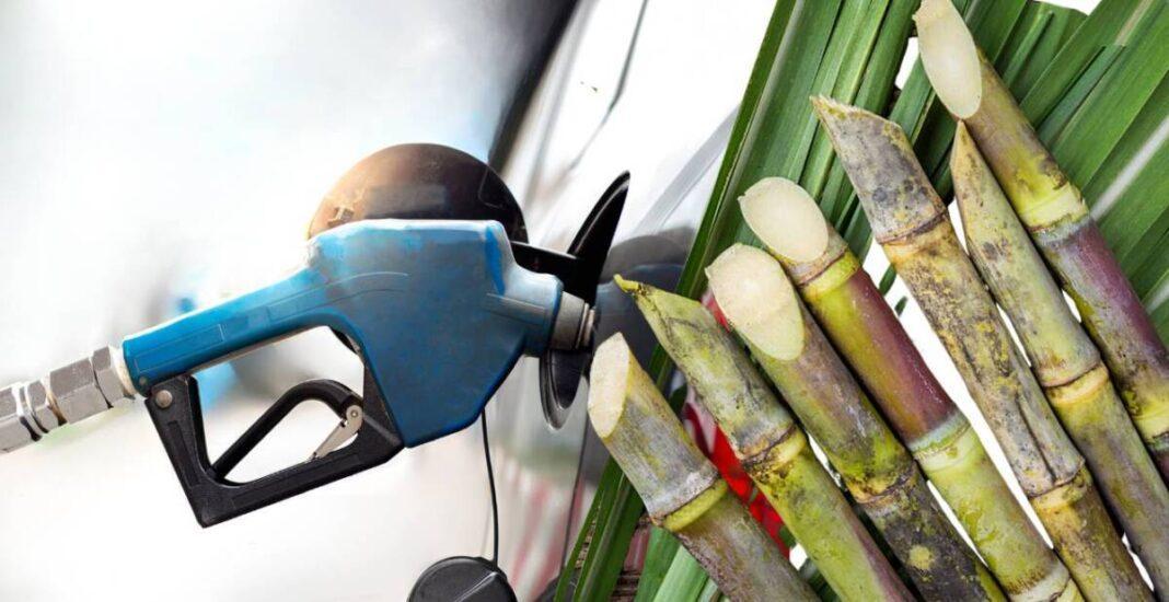 La Secretaría de Energía fijó nuevos precios para el bioetanol