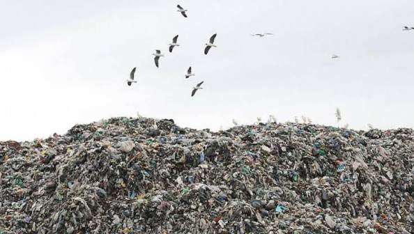Basura sin salida: la empresa que perdió en la Cámara llevó el conflicto del GIRSU a la Corte tucumana