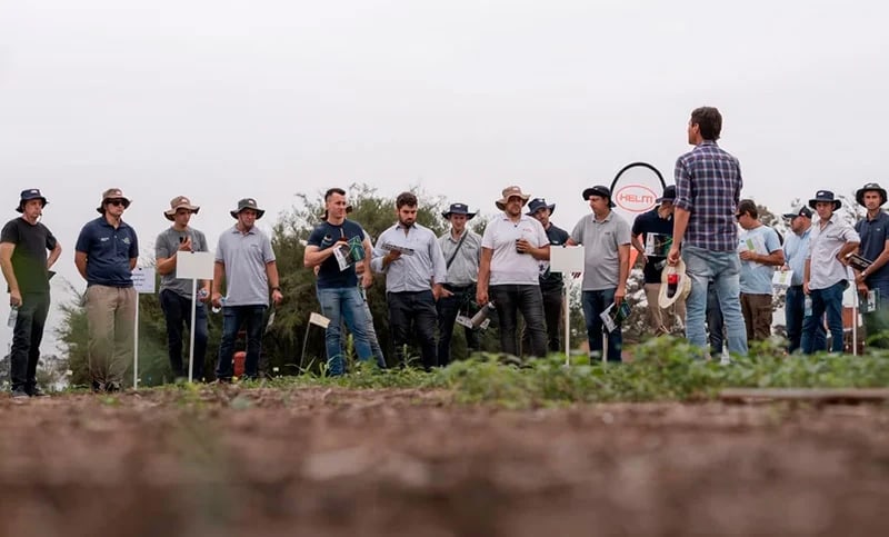 agroquimico1.webp