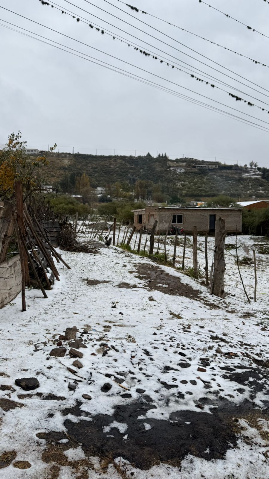 "El frío dice presente": cayó la primera nevada de 2026 en Tucumán