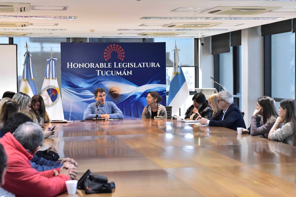 discapacidad legislatura.jpeg