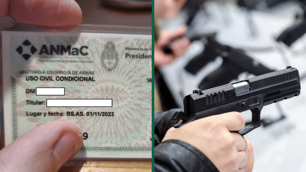 El Senado de la Nación convirtió en ley el proyecto de regularización de armas de fuego