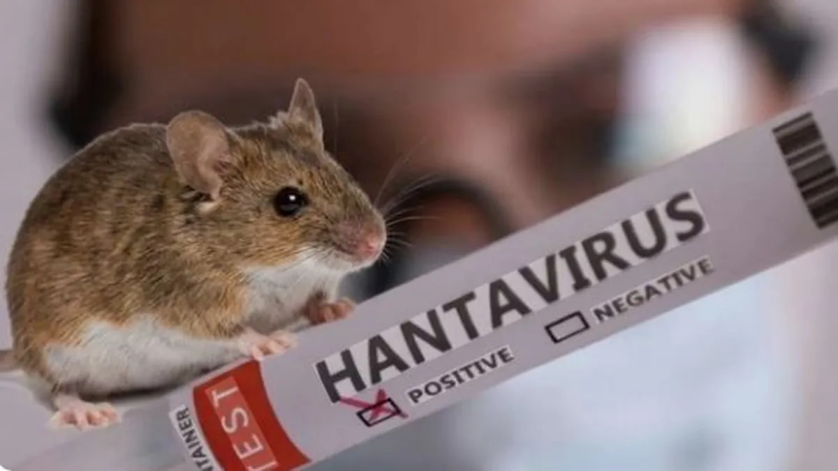 El Ministerio de Salud confirmó tres nuevos pacientes con hantavirus en Jujuy, Río Negro y Chubut