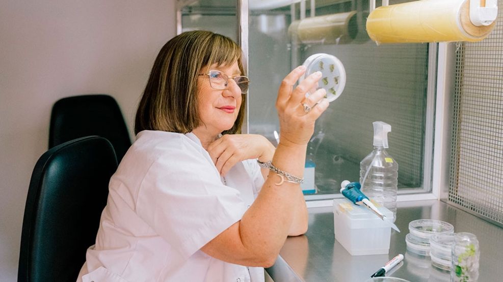 La científica argentina Raquel Chan fue galardonada con el prestigioso premio L’Oréal-UNESCO