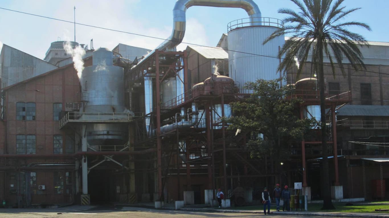 Los Balcanes destacó una marca histórica en la producción de alcohol