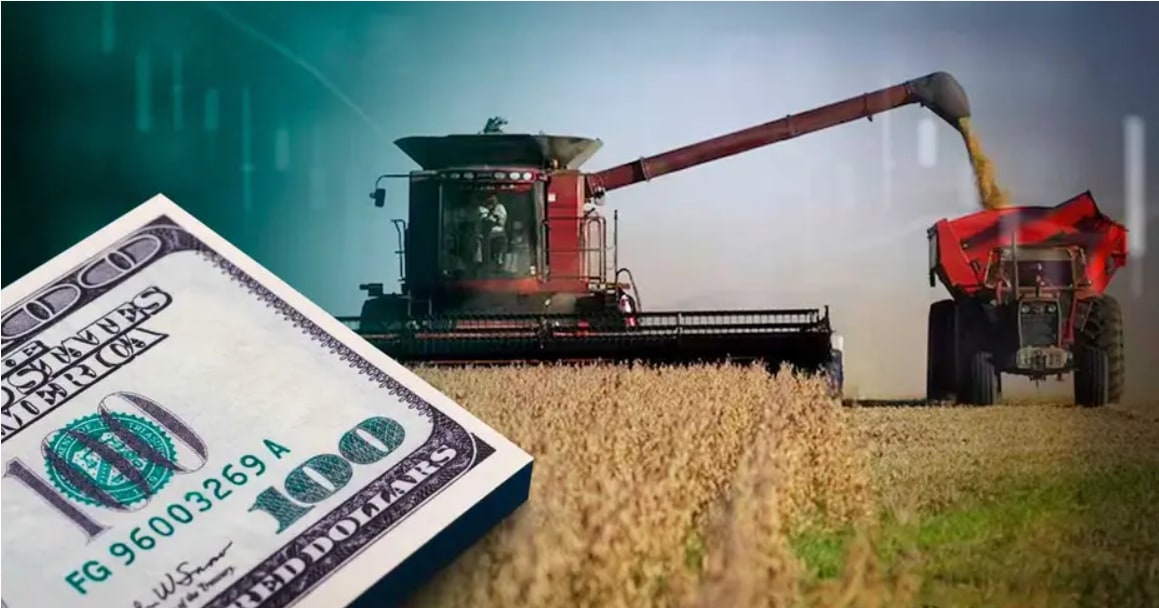  Las retenciones a la soja caminan hacia el nivel cero en 2030