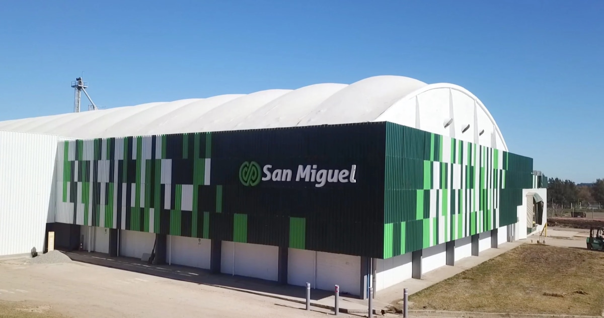 citrciola san miguel.webp