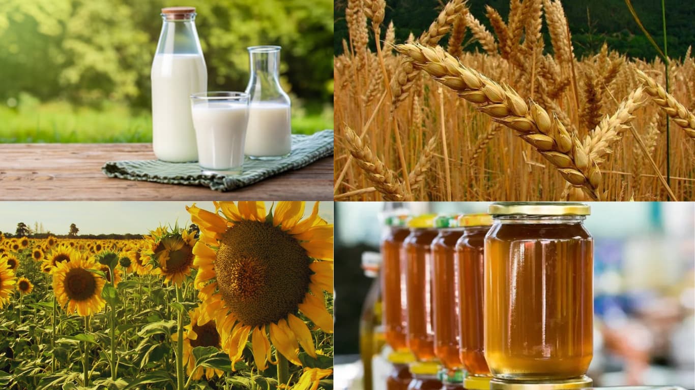 Las exportaciones agroindustriales alcanzaron un volumen récord en el primer cuatrimestre