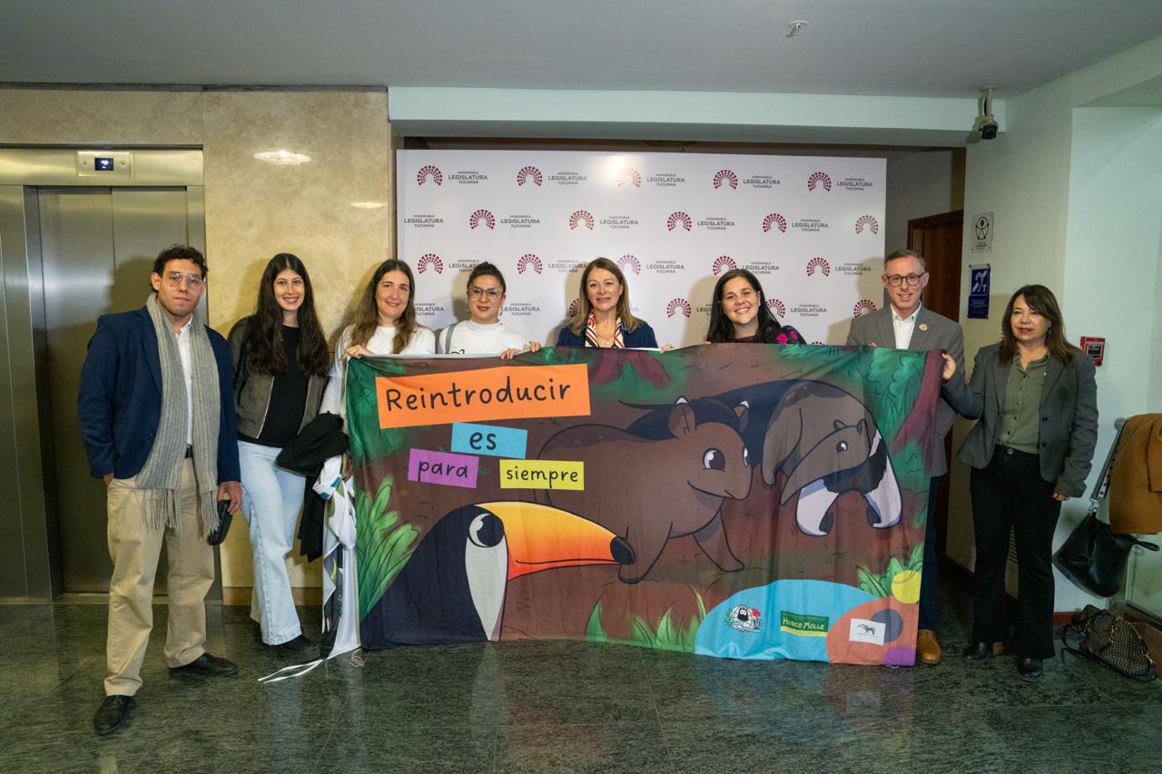 El tapir se convierte en la nueva especie bandera de la conservación ambiental en Tucumán