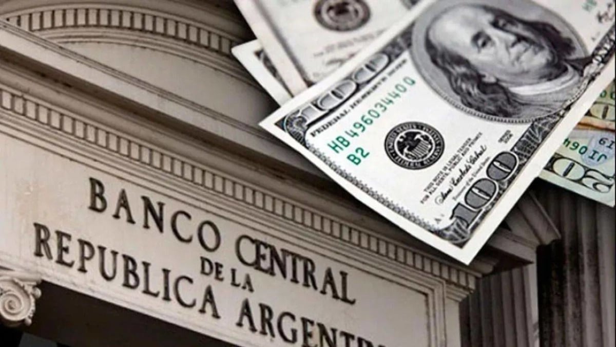 banco-central---dolares---perdidas-de-pesos-1-jpg.jpg banco-central---dolares---perdidas-de-pesos-1-jpg.jpg
