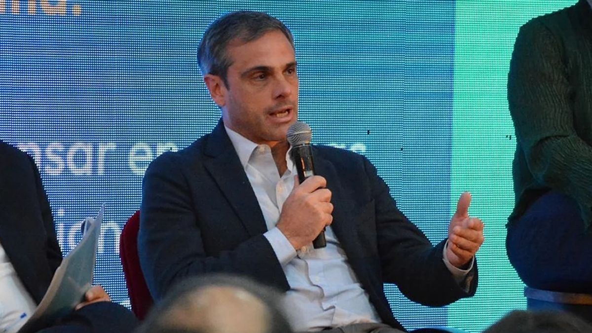 Michel cuestionó el costo fiscal del RIGI y puso en duda su impacto sobre la llegada de inversiones