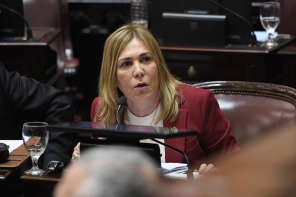 El Senado tratará la división en salas de la Cámara Federal de Tucumán