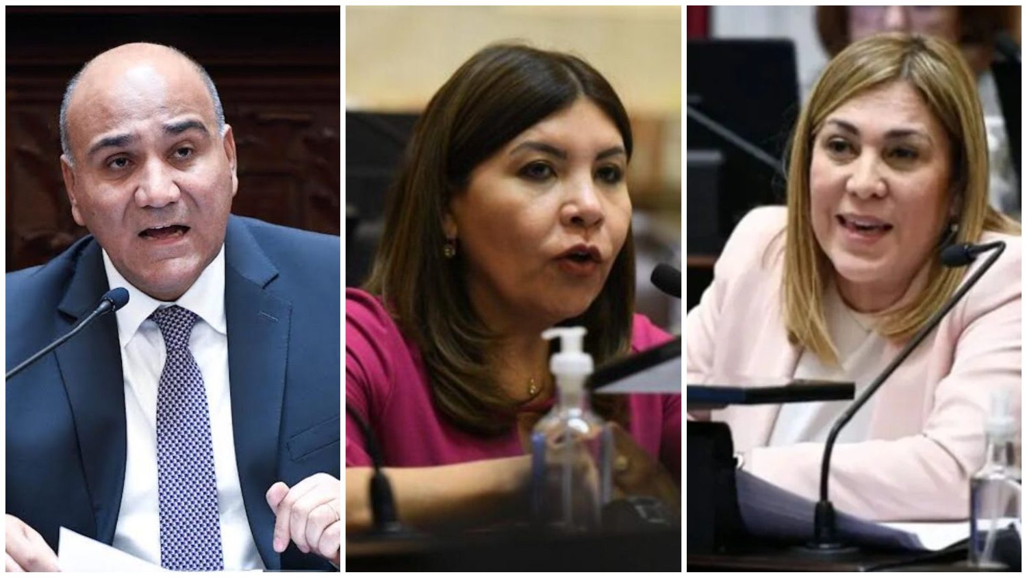 Los tres senadores tucumanos votaron por Michelli y le dieron la espalda a Milei