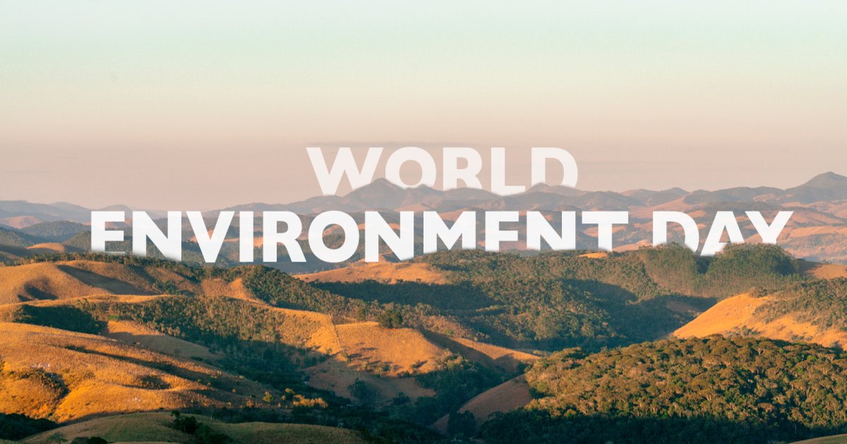 Día Mundial del Medio Ambiente: tres acciones clave para mejorar los hábitos sustentables