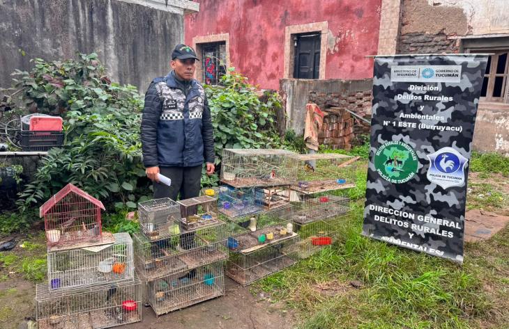 Rescatan veinte aves silvestres que permanecían en cautiverio en San Andrés