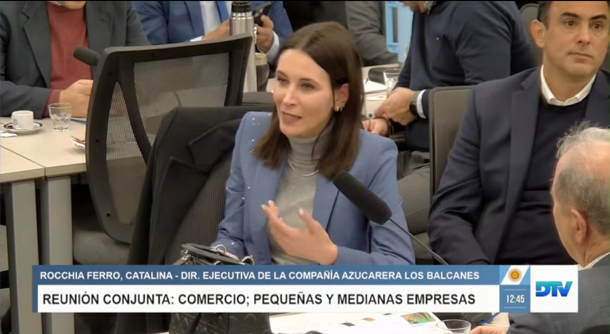 La industria azucarera defendió una nueva ley de biocombustibles y advirtió sobre proyectos que podrían afectar al sector
