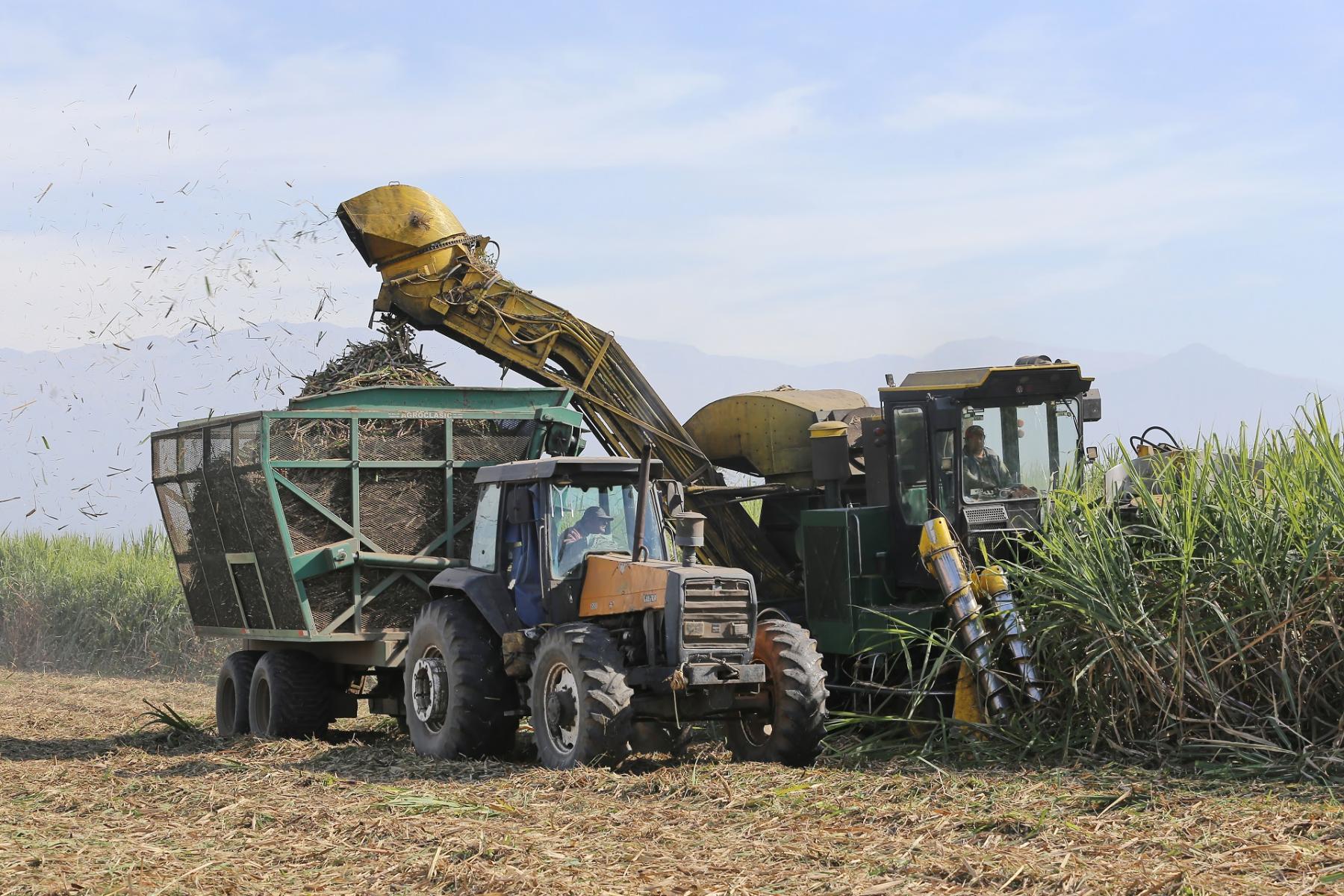 La zafra avanza en el NOA pese al clima adverso y ya tiene 16 ingenios en plena actividad