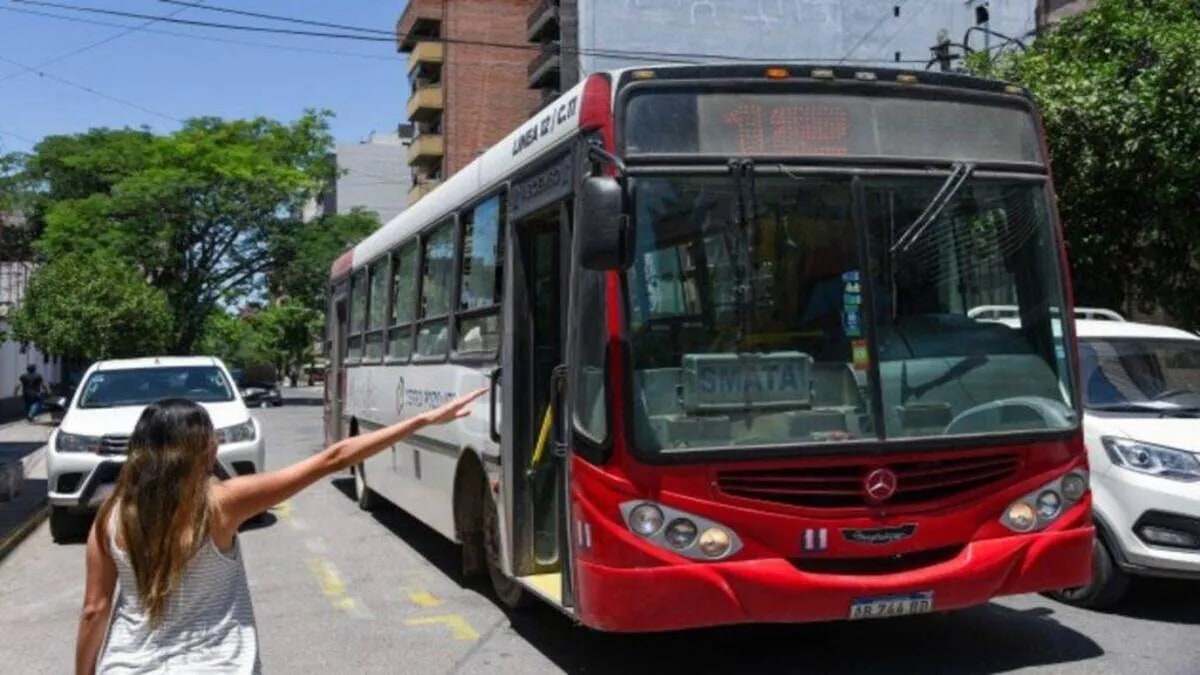 El boleto a $1.700 ya fue promulgado, pero todavía no tiene fecha de aplicación