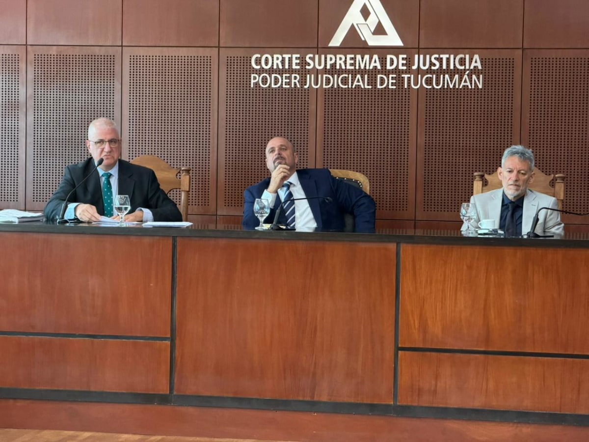 tribunal ds.jpeg