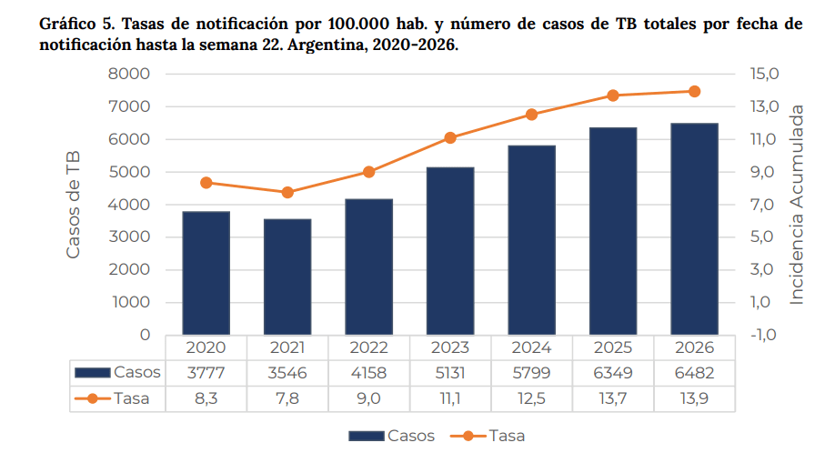 Captura de pantalla 2026-06-25 122639.png