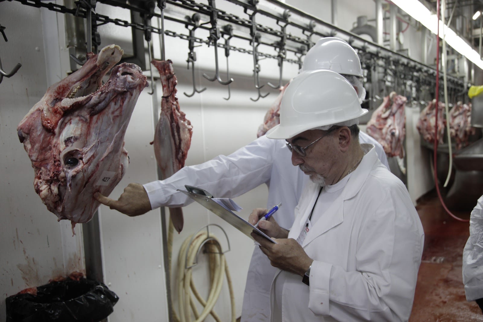 Agilizan los expedientes por infracciones en los mercados de granos y carnes