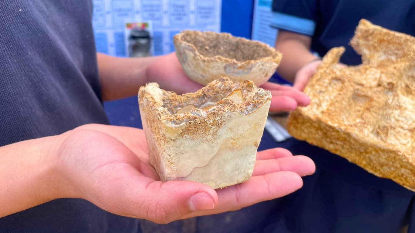 Con pasión, ciencia y compromiso, estudiantes tucumanos dieron una lección en Lules