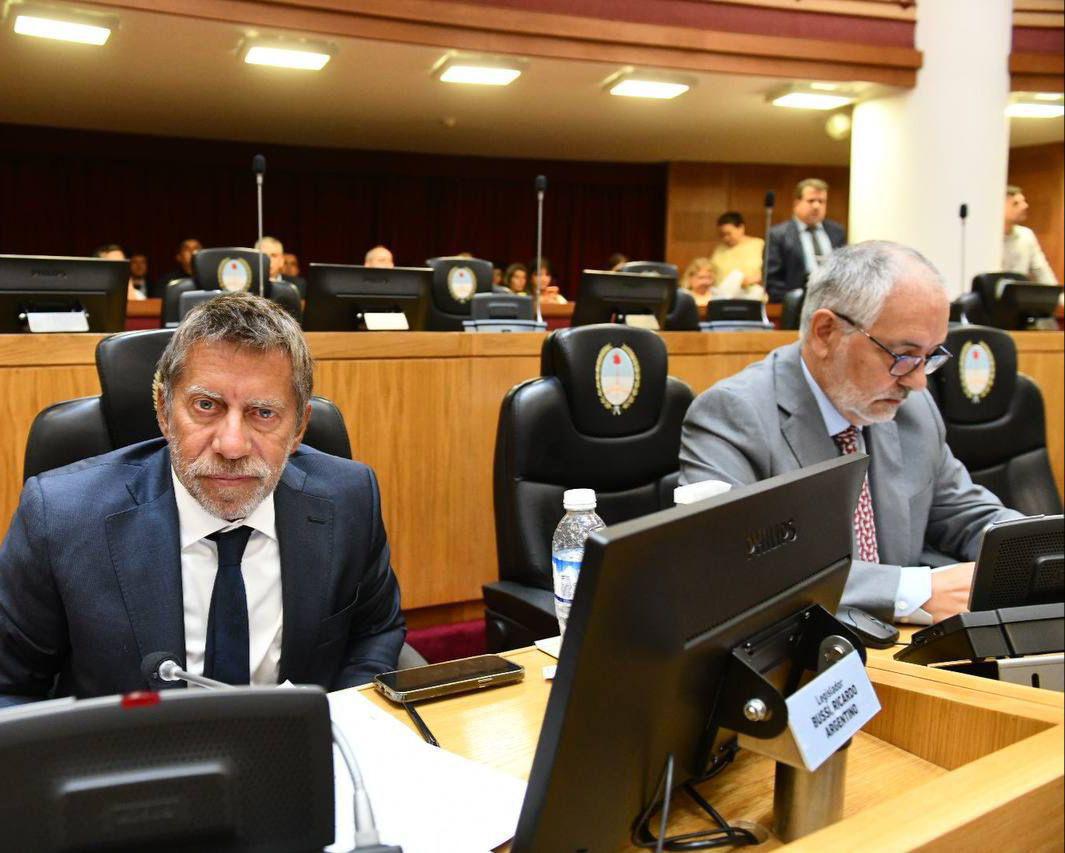 Bussi y Verón Guerra piden informes sobre la atención a embarazadas con consumos problemáticos