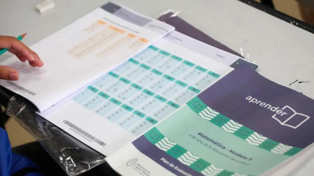 Más del 70% de los alumnos alcanzó el nivel esperado en lectura