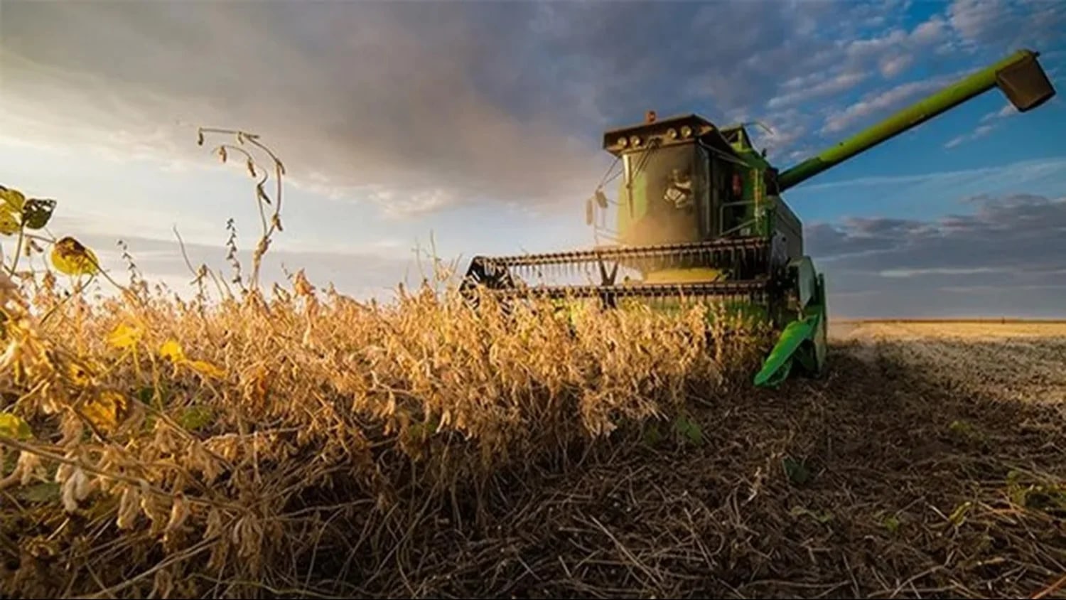 El complejo agroexportador liquidó más de US$3.000 millones en junio, pero el ingreso de divisas cayó 18% interanual