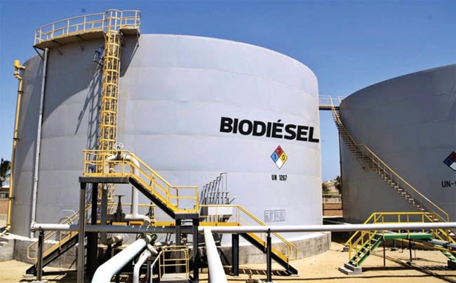 biocombustible-primera-planta-autoconsumo-córdoba-650x404.jpg biocombustible-primera-planta-autoconsumo-córdoba-650x404.jpg