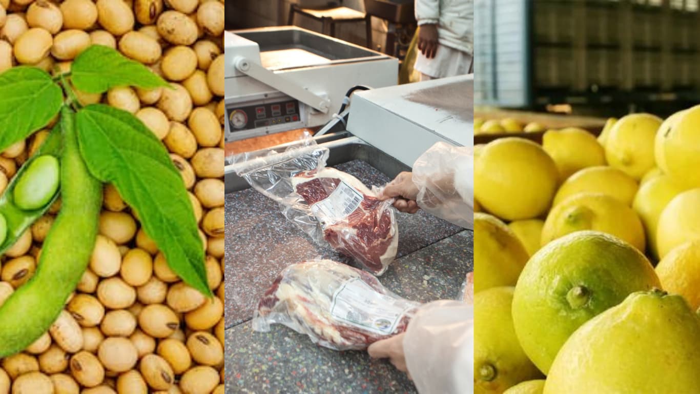 Carne, cereales y cítricos lideraron el crecimiento de las exportaciones agroindustriales