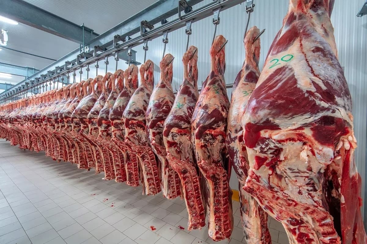 Avanza la revisión del protocolo que mide la calidad de la carne argentina